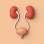 Group logo of Kidney & Bladder